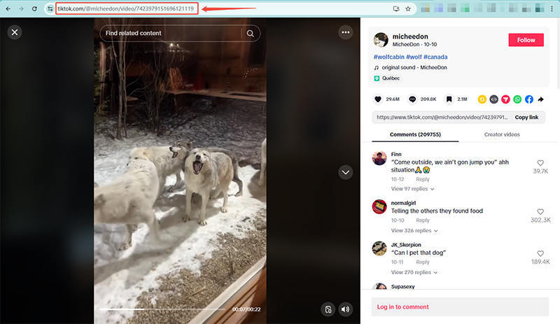 oneconv copy tiktok url