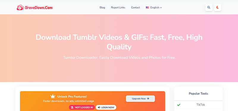 download tumbler video with bravedown