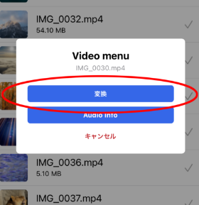 カメラロール 動画 選択