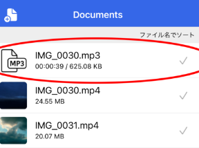 音声抽出 実行