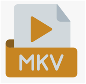 mkv mp4 変換