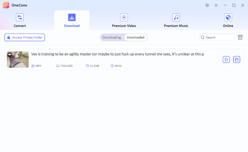 oneconv downloaded tumblr video