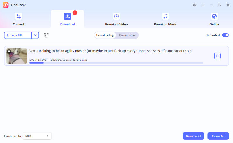 oneconv downloading tumblr video