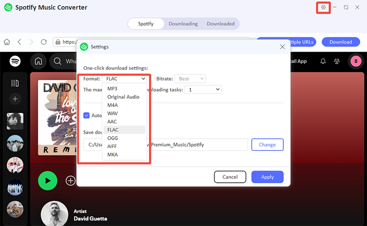 oneconv spotify convert set format