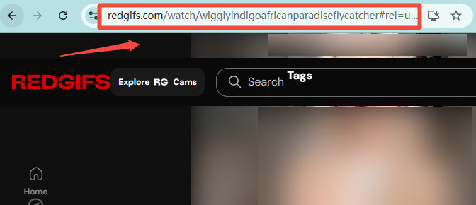 copy rednote url