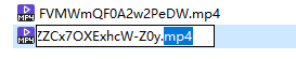 movを.mp4に変更して