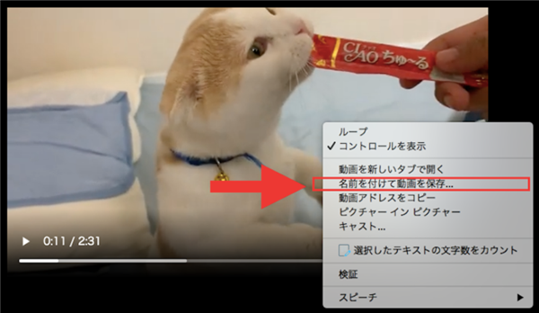 fansly leak 名前を付けて動画を保存