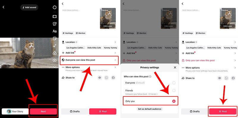save tiktok videos as private