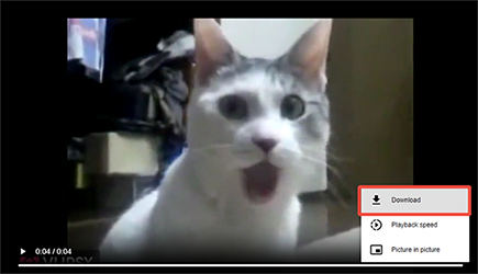 savethevideo download vlips