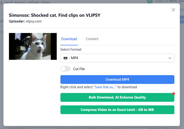 savethevideo choose format