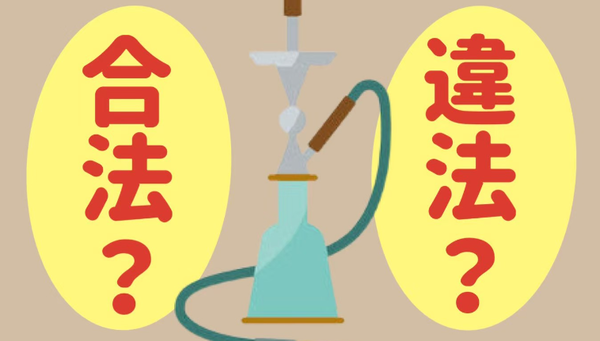 Tiktok 動画保存 合法 違法