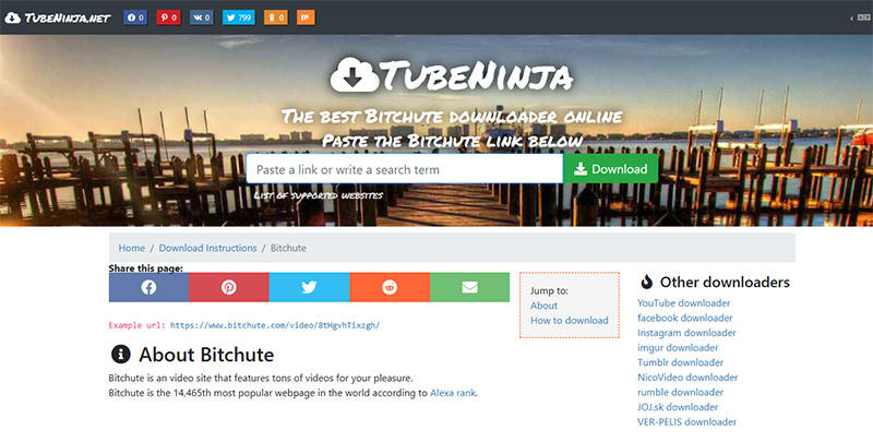 bitchute downloader tubeninja