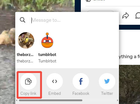 tumblr copy url