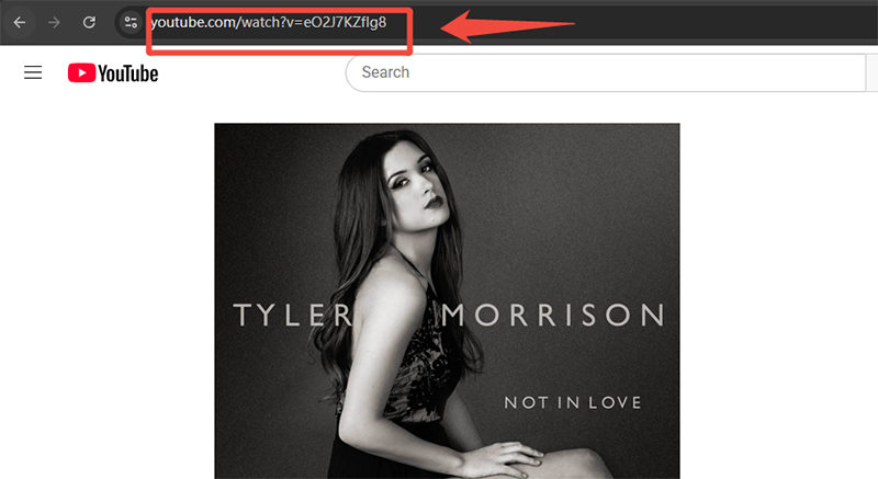 copy youtube url